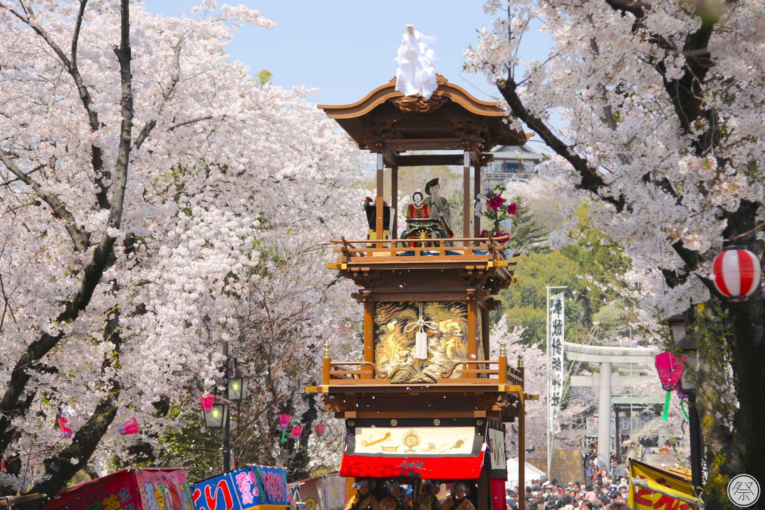 фестиваль цветов в японии